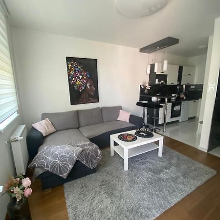 Apartment 212 Subotica Esterno foto